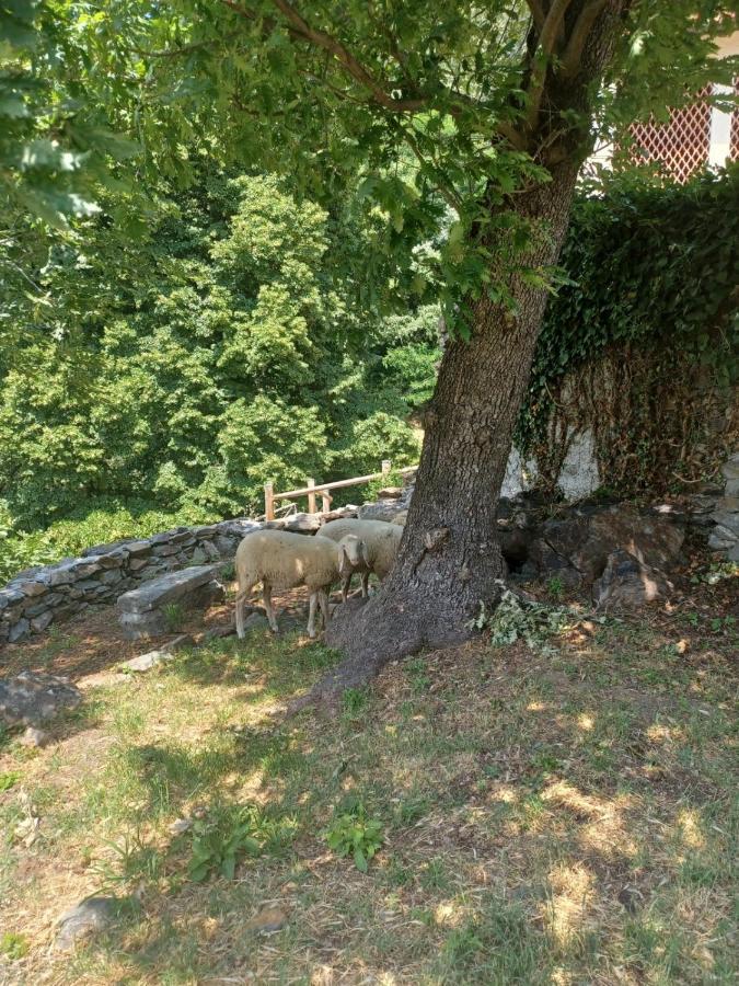 Willa Open Cascina Colico Zewnętrze zdjęcie